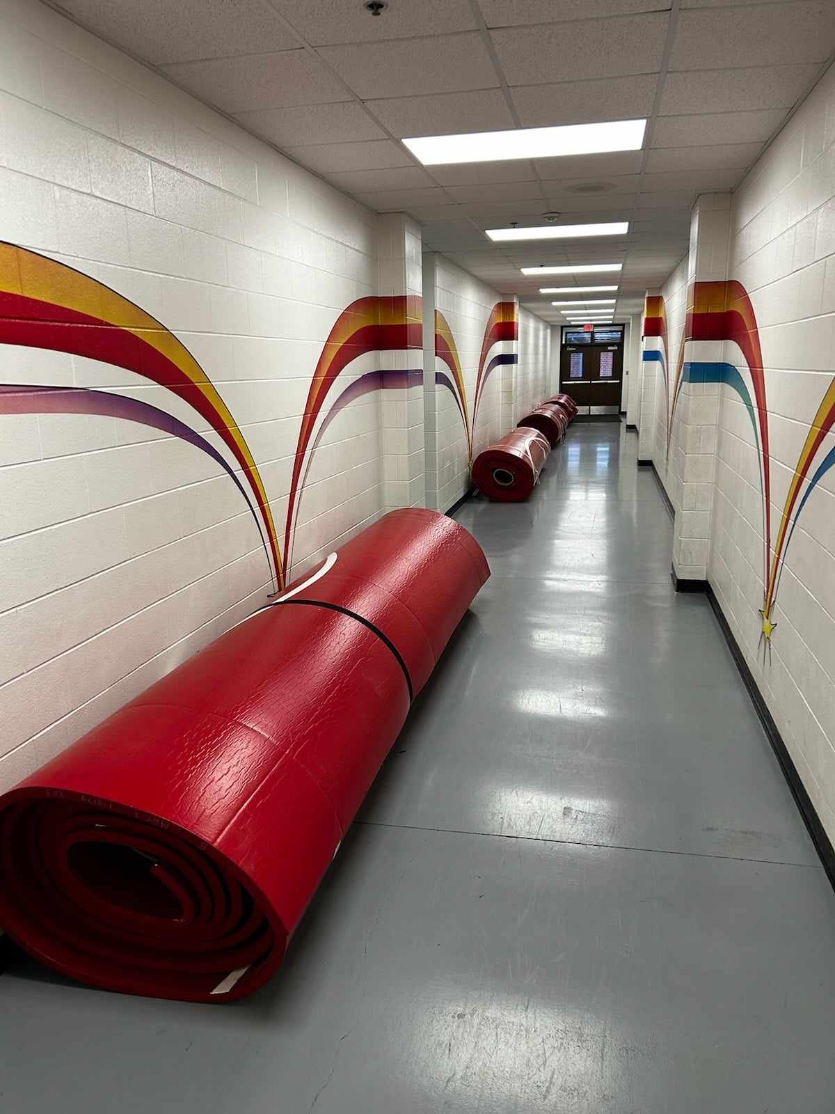 Mats Hummels' Wealth: World Cup Winner's Journey to Multi-Millions